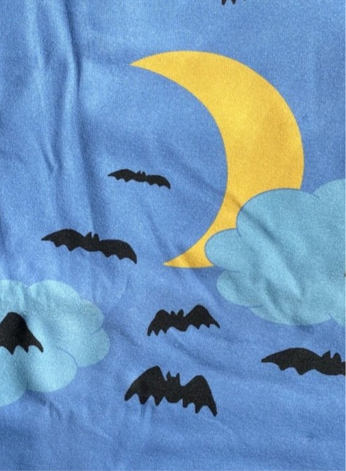 Moon & Bats