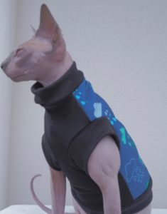Rainy Day Kitty “Soft Shell”