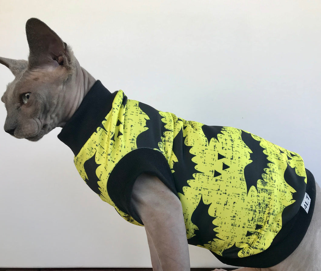 Bats Bats Bats!