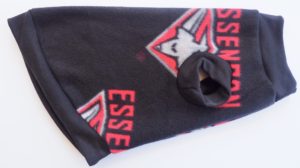 Essendon AFL