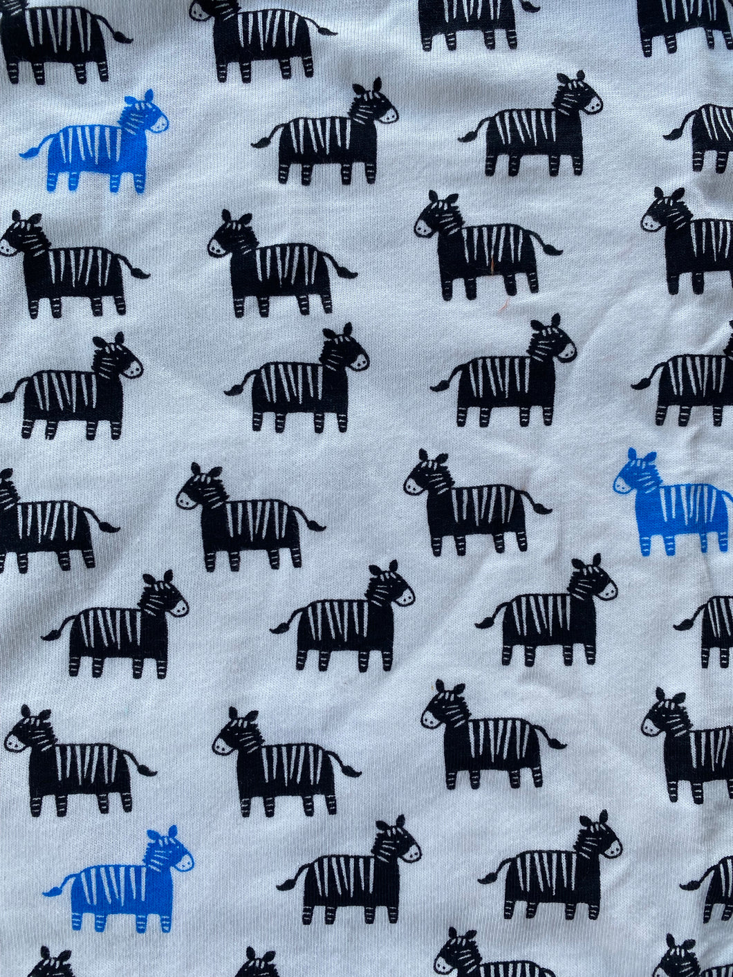 Blue Zebra